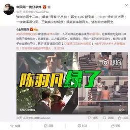 内娱夫妻出轨爆料视频,真相与反思