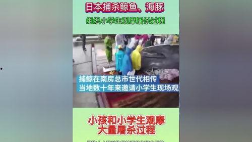 正能量视频今日热点爆料,今日热点爆料，传递温暖与希望