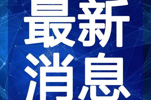 新乡爆料婚姻破裂视频最新,婚姻破裂视频引发热议，真相究竟如何？