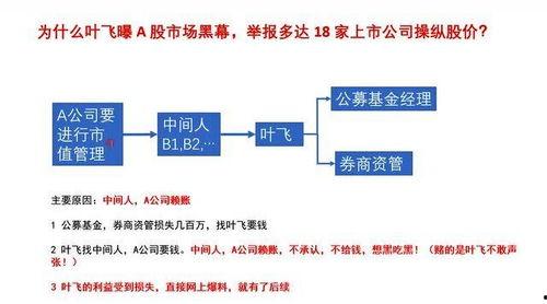 叶飞爆料详解大全视频,揭秘娱乐圈内幕与真相