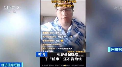 叶飞爆料详解大全视频,揭秘娱乐圈内幕与真相