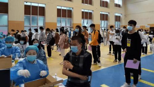 武汉新冠爆料事件最新消息,真相与争议交织的舆论漩涡