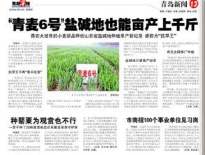 农业时事热点爆料新闻报道,揭秘最新农业产业变革与政策动向