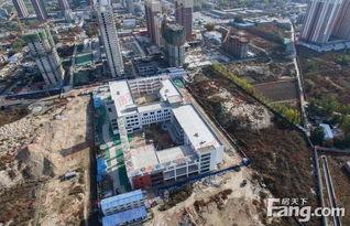 保定复兴路最新爆料,最新爆料揭示蜕变之路
