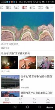 辽宁抚顺爆料新闻视频播放,视频揭露惊人真相，引网友热议
